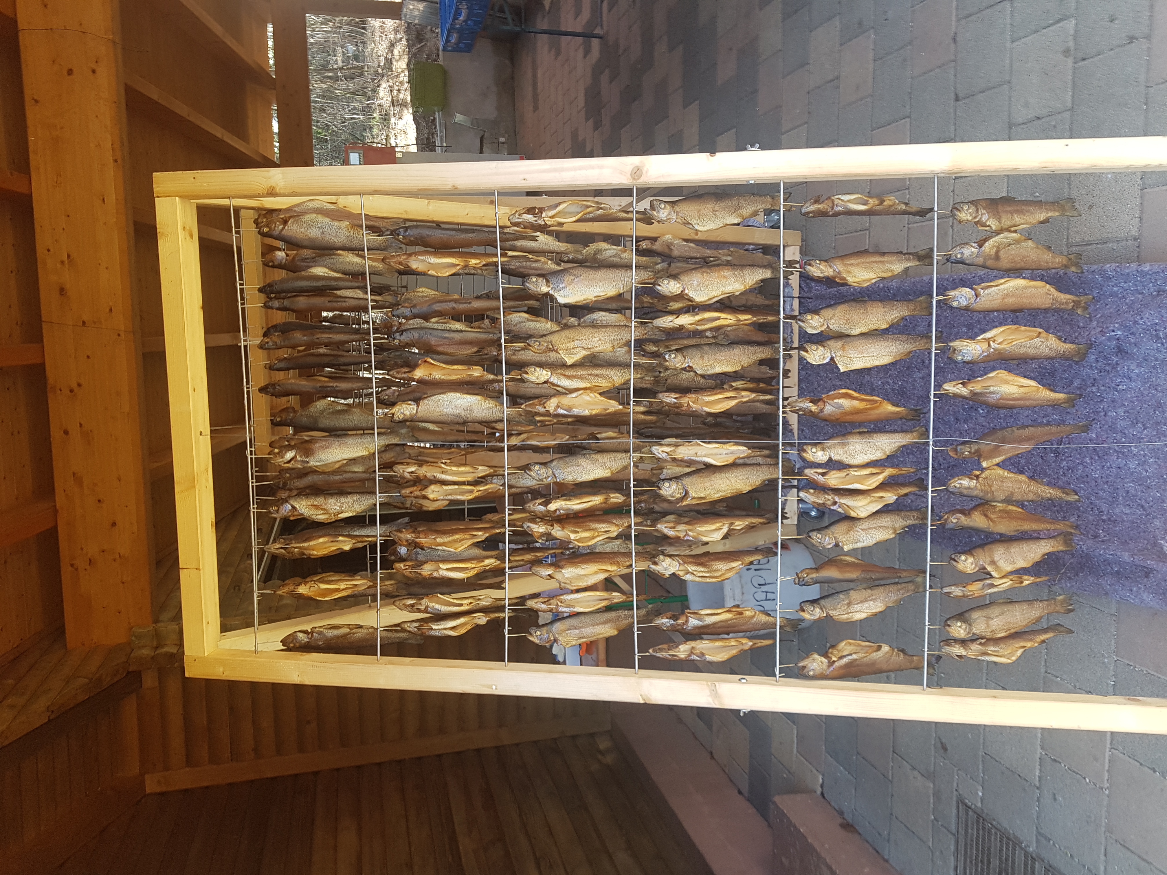 Galeriebild: 20230404 141437